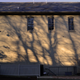 Image for article titled Shooting Challenge: Golden Hour